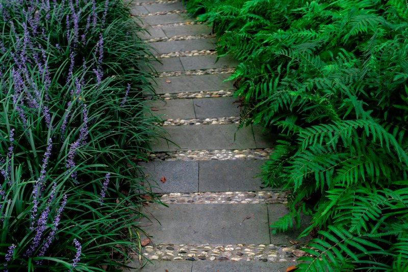 Allée et bordures plantées, Saint-Herblain