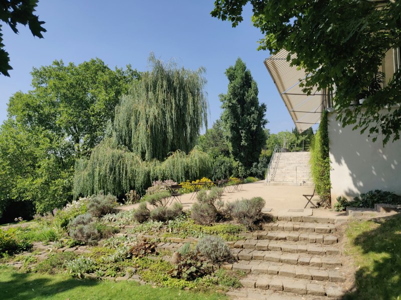 Jardin paysager en pente : massifs, saule et escalier de pierre